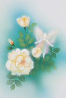 Valkoisen ruusun keiju -postikortti